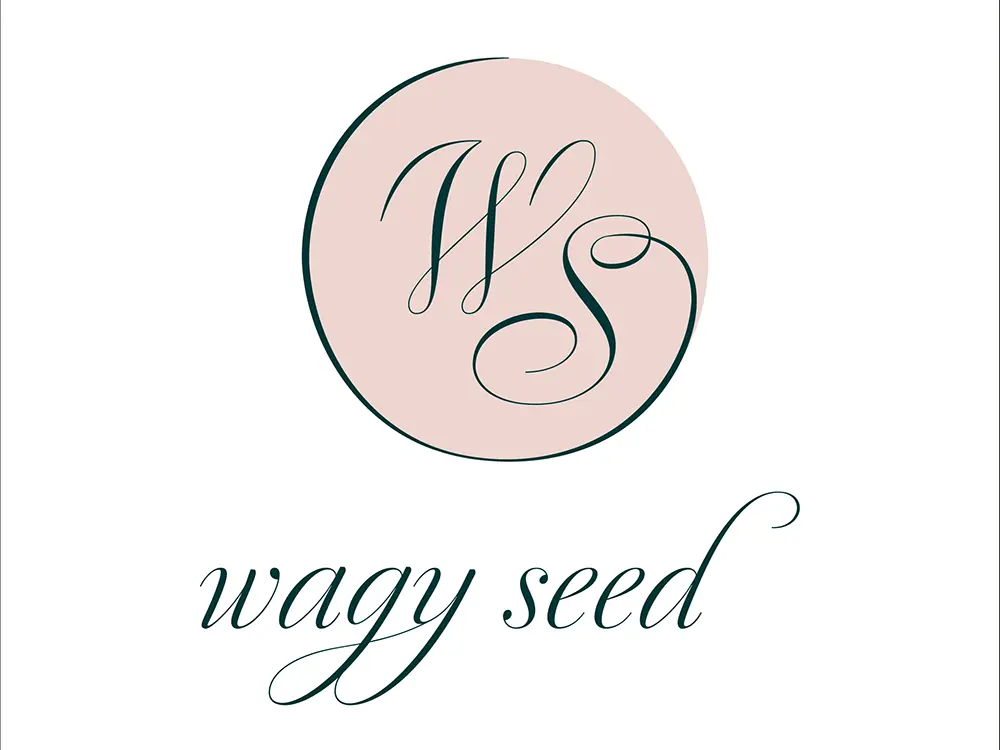 Le studio de communication freelance conçoit un logo pour Wagy Seed