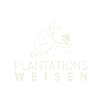 Le studio de communication freelance est partenaire de Plantations Weisen.