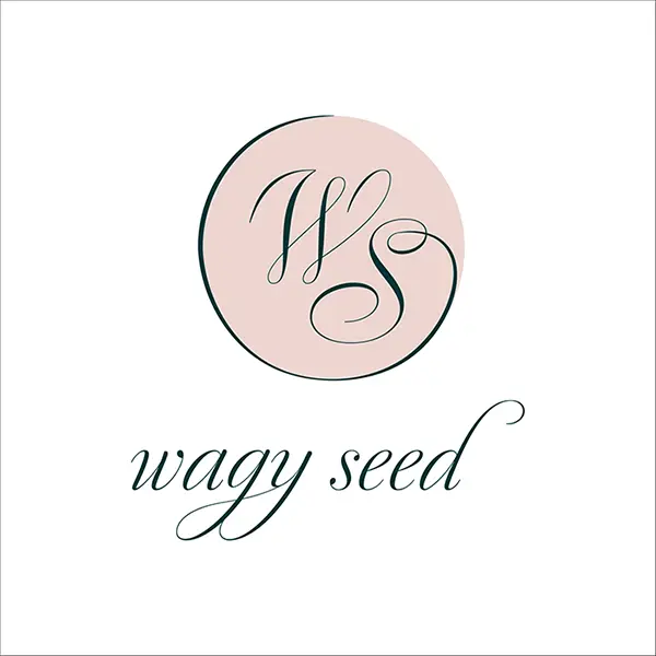 e-conique a conçu le logo de l'écrivaine luxembourgeoise Wagy Seed.